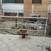 Construir Piscina Obra