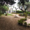 Pavimentar parte del jardín con hormigón impreso