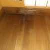 Lijar (Acuchillar) y Barnizar Parquet (Parcial)