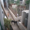 Sustitucion muro de jardin