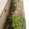 Limpieza del jardín o-17