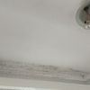 Tratamiento anti-humedad y pintar vivienda