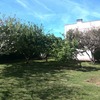 Mantener Jardín