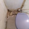 Revisar instalación fontanería local