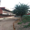 Desbrozar Jardín