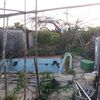 Reformar piscina