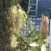 Colocar rejas jardin