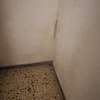 Humedad en piso