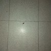 Trabajos varios de albañilería (o reforma)