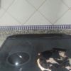 Suministrar Piezas Mármol o Granito