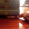 Pequeños Trabajos Tapiceros