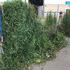 Desbrozar Jardín