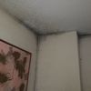 Pintar Interior Vivienda o local