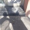 Adaptar Accesos Discapacidad
