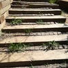 Cambio escalones de madera en jardín y puesta a punto