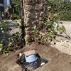 Intalar enchufe en un jardin