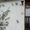 Reparar Grietas Casa (Unifamiliar)