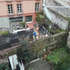 Mantener Jardín