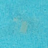 Alicatar Piscina
