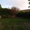 Hacer puesta a punto de jardín