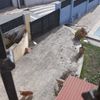 Poner Hormigón Impreso