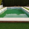 Limpieza puntual de piscina