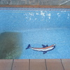 Reforma Piscina