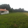 Desbrozar Jardín