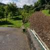 Hormigón/cemento Pulido