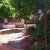 Pavimento impreso en jardin