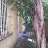 Pintar Exterior Vivienda o local