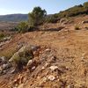 Movimiento de Tierras
