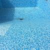 Alicatar Piscina