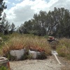Desbrozar Jardín