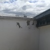 Pequeña Reforma Tejado Casa (Unifamiliar)