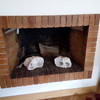 Pequeños Trabajos Chimeneas