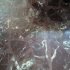Pulir Suelo Vivienda (Parcial)