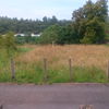 Desbrozar Jardín