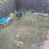 Desbrozar jardín