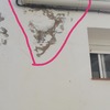 Pequeños Trabajos Albañilería