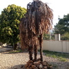 Desbrozar Jardín