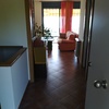 Decorar Vivienda