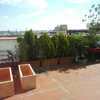 Limpieza de suelo de terraza muy sucio de cemento 50m2