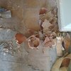 Poner Parquet o Tarima Vivienda (Parcial)