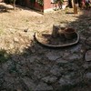 Hormigón/cemento Pulido