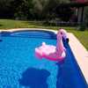 Limpieza puntual de piscina