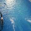 Revestir Piscina con Otros Materiales