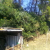 Desbrozar Jardín