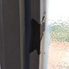 Hacer Pintura Decorativa