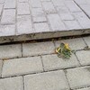 Reparar Hormigón Impreso